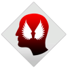 dragon age II trophies