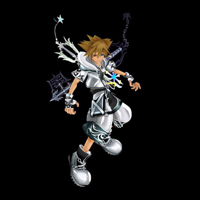 kingdom hearts II  form